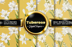 Tuberose Digital Papers - 04 Variations Product Image 1