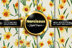 Narcissus Flower Digital Papers - 04 Variations Product Image 1