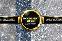 Moonlight Silver Digital Papers - 04 Variations Product Image 1