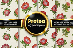 Protea Flower Digital Papers - 04 Variations Product Image 1