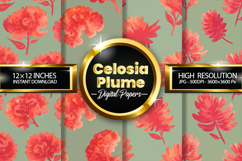 Celosia Plume Digital Papers - 04 Variations Product Image 1