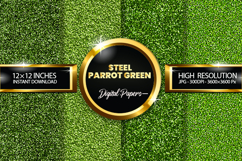 Steel Parrot Green Glitter Digital Papers - 04 Varitions Product Image 1