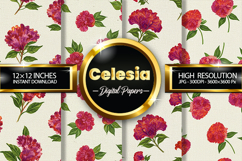 Celesia Digital Papers - 04 Variations Product Image 1