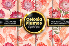 Celosia Plumes Digital Papers - 04 Variations Product Image 1