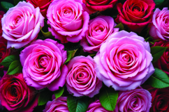 Pink roses background Product Image 1