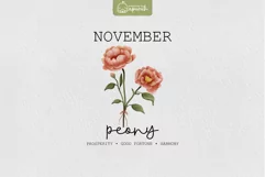 Birth Month November Flower Watercolor Clipart Sublimation Product Image 1