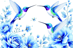 Watercolor Hummingbirds with blue Roses Floral Background Product Image 1