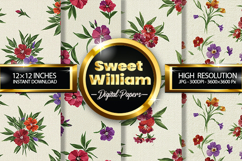Sweet William Digital Papers - 04 Variations Product Image 1