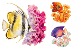 Watercolor Tropical Fish Clipart Bundle, Ocean Coral PNG Product Image 1