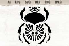Stencil Beetle Insect Product Image 1