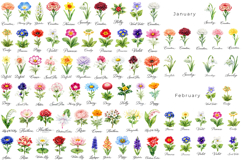 134 Watercolor Birth Month Flowers PNG Bundle Product Image 1