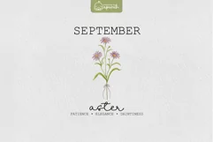 Birth Month September Flower Watercolor Clipart Sublimation Product Image 1