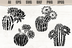 Stencils Blooming Cactus Product Image 1