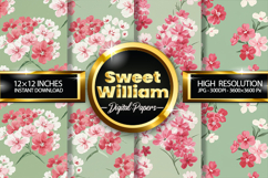 Sweet William Digital Papers - 04 Variations Product Image 1