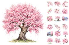 Watercolor Cherry Blossom, Spring Sakura Floral PNG Product Image 1