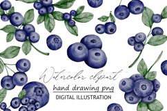 Blueberry berries clipart watercolor png Product Image 1