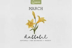 Birth Month March Flower Watercolor Clipart Sublimation Product Image 1