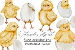 Chicken watercolor clipart PNG Product Image 1