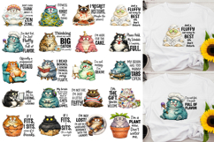 Funny Fluffy Sarcastic Cat Humor PNG Bundle Product Image 2