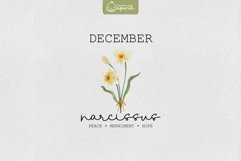 Birth Month December Flower Watercolor Clipart Sublimation Product Image 1