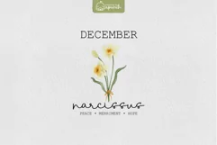 Birth Month December Flower Watercolor Clipart Sublimation Product Image 1