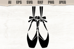 Stencil Ballet Pointe Shoes Product Image 1