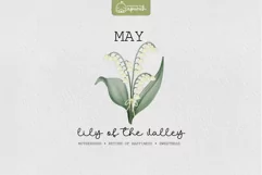 Birth Month May Flower Watercolor Clipart Sublimation Product Image 1