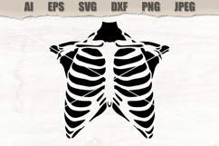 Stencil Human Rib Cage Product Image 1