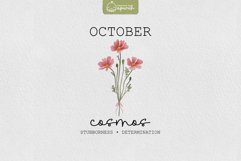 Birth Month October Flower Watercolor Clipart Sublimation Product Image 1