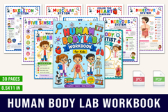 Human Body Workbook Product Image 1