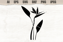 Stencil Strelitzia flower Product Image 1