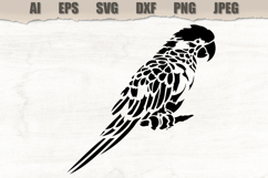 Stencil Tropical Parrot Bird Product Image 1