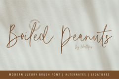 Boiled Peanuts Signature Product Image 1