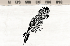 Stencil Cockatoo Bird Product Image 1