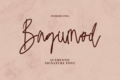 Bagumod Signature Product Image 1