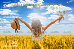 Ukraine field, Field overlay, Photoshop overlay Product Image 1