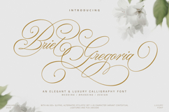 Briel Gregoria Product Image 1