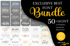 Exclusive Best Font Bundle Product Image 1