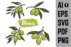 Set of olive branch illustrations. Product Image 1