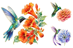 Watercolor Floral Hummingbird Clipart Bundle, Floral Gold Product Image 1