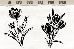 Stencils Crocus Flowers Product Image 1