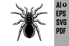 Spider Clipart SVG, Spider Shape Ai, Eps, Pdf. Spider Product Image 1