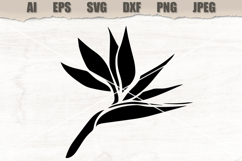 Stencil Strelitzia flower Product Image 1