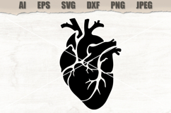 Stencil Anatomical Heart Product Image 1