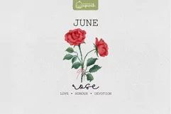 Birth Month June Flower Watercolor Clipart Sublimation Product Image 1