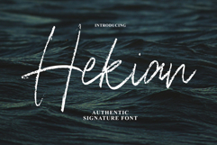 Hekian Signature Brush Product Image 1
