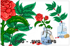 Glass Bottle with Decorative Plants Product Image 1