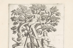 Nova Alphati Effictio 24 Renaissance Lettering Pages Product Image 3