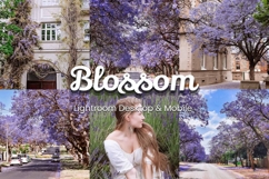 30 Blossom Lightroom Bundle Product Image 1