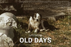 30 Old Days LUT Collection Product Image 1